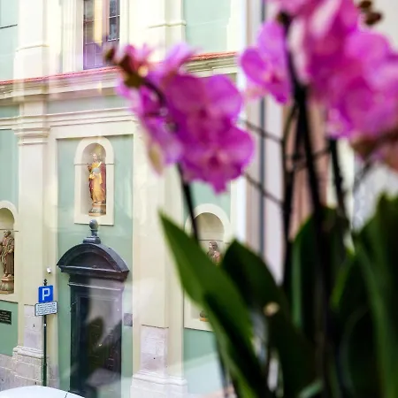 Appartamento Cracwow St. Thomas Cracovia